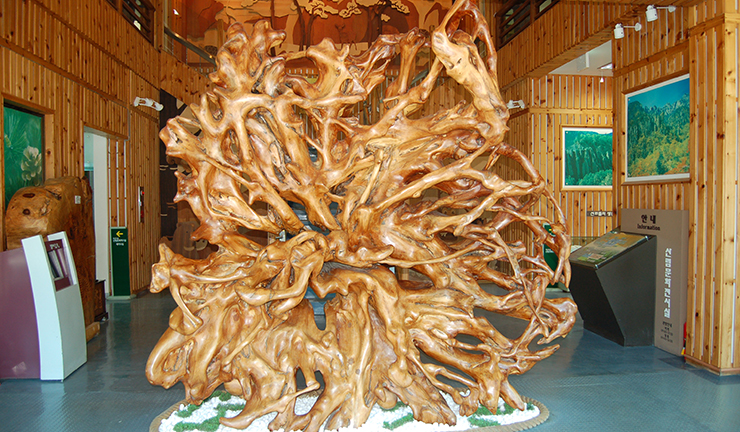 느티나무 뿌리공예