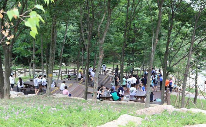 숲문화마당 사진2