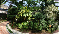 아열대식물원 이미지