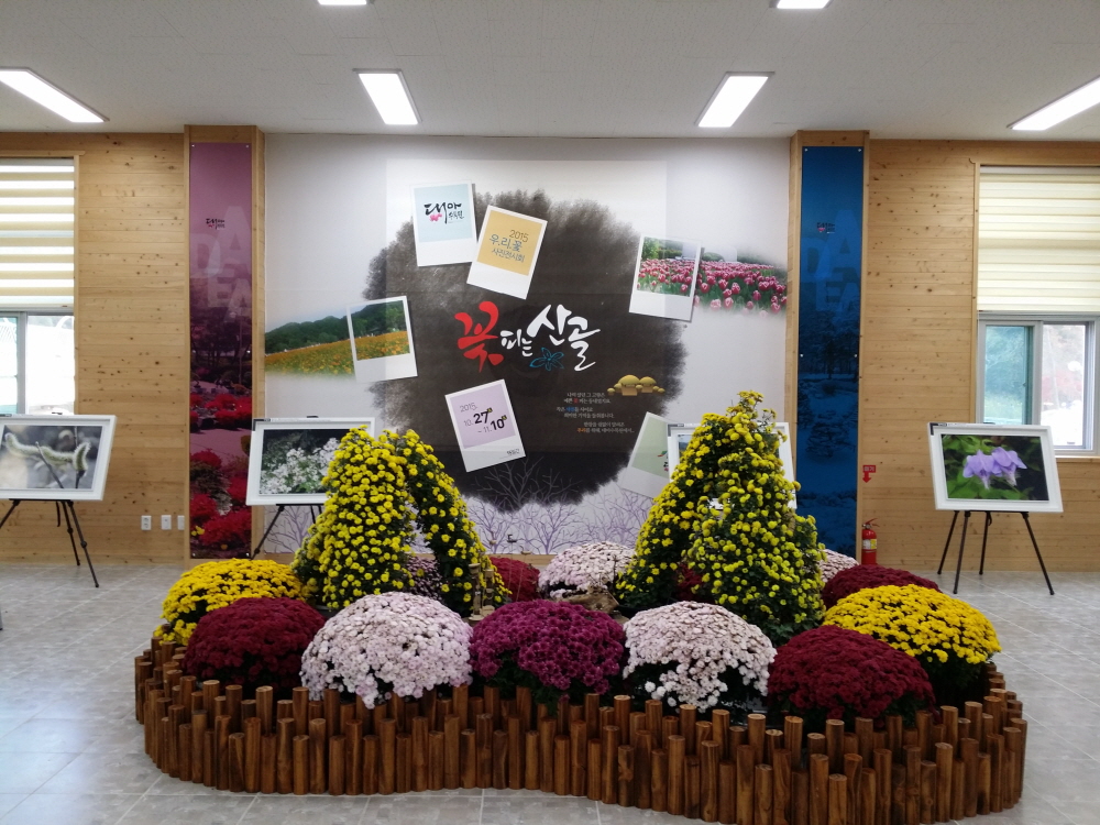 대아수목원 우리꽃 사진 및 국화 전시회 전경사진