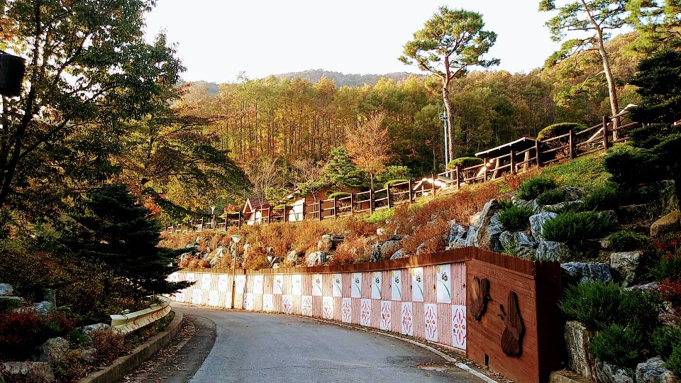 가을날의 운향채