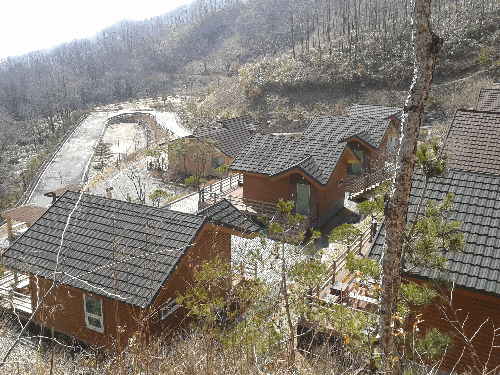 2013년 봄 숲속의 집