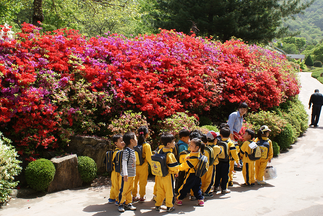철쭉동산