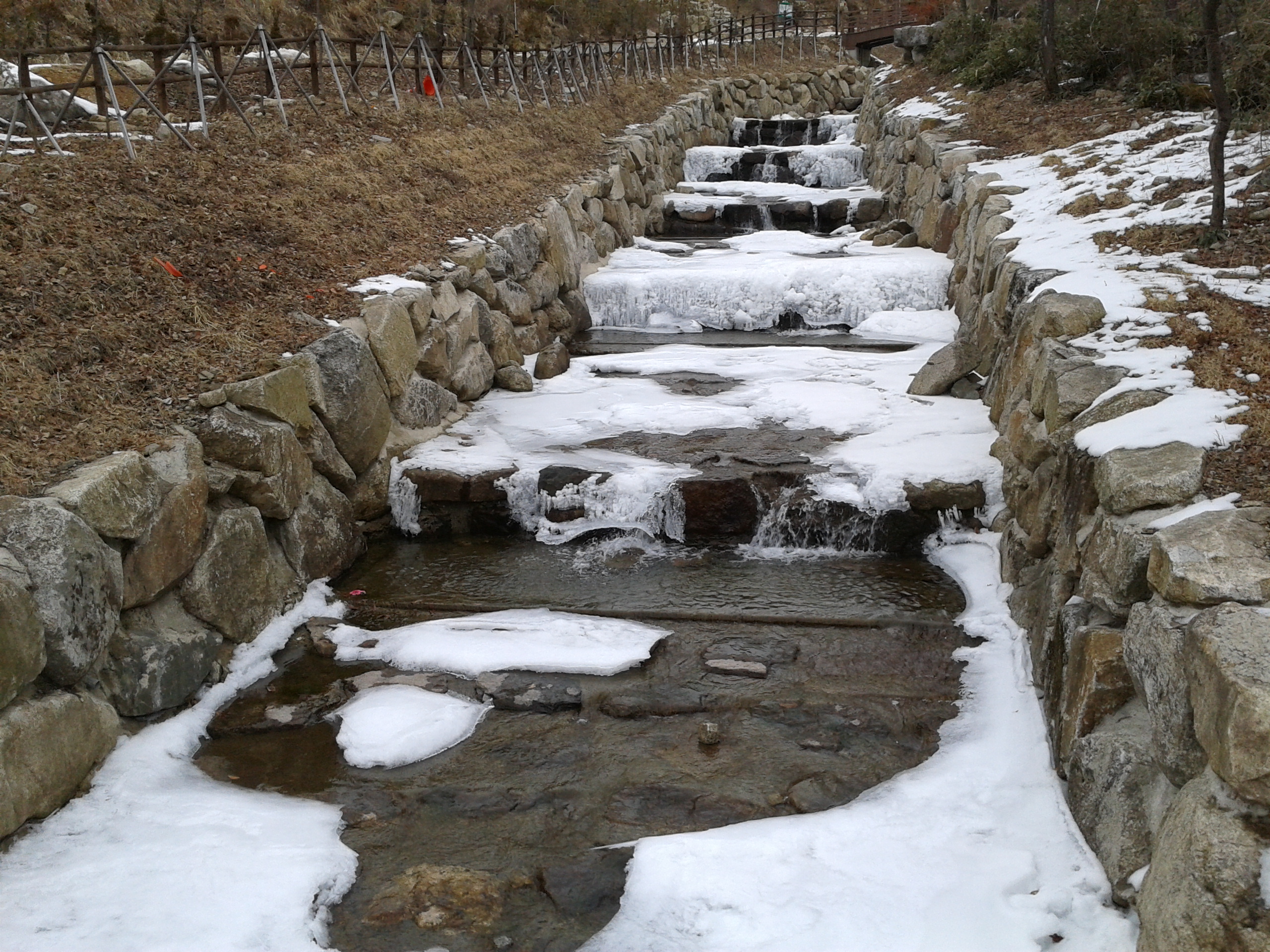 2012년 겨울 휴양림 풍경 1