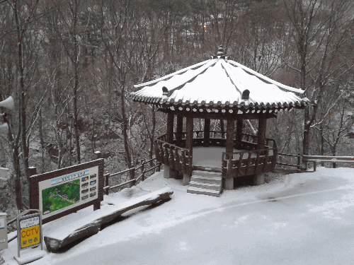 2013.4.7 휴양림에 또 눈이....