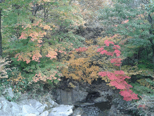 2012년 가을 휴양림 풍경