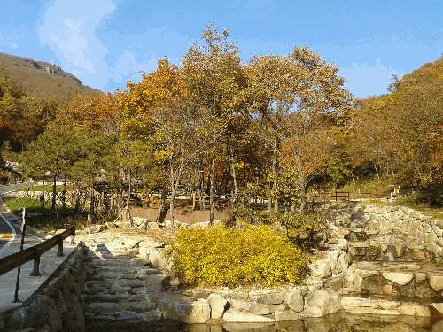 2012년 가을 휴양림 풍경(2)
