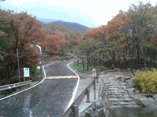 2012년 가을 휴양림 풍경(3)