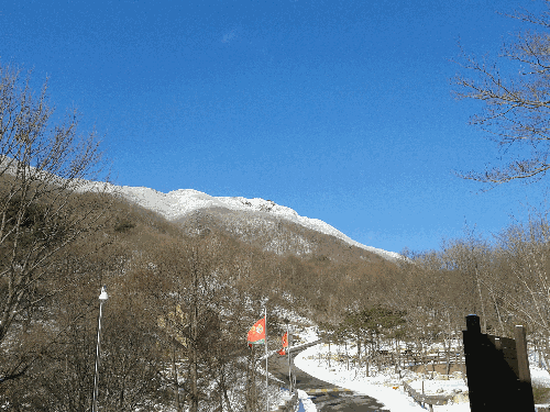 2012년 겨울 휴양림 풍경 2