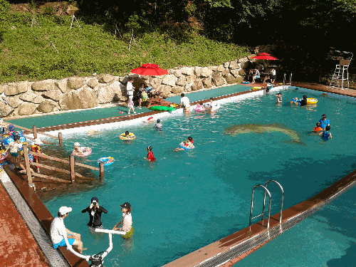 깨끗한 수영장에서 재미있는 한 때