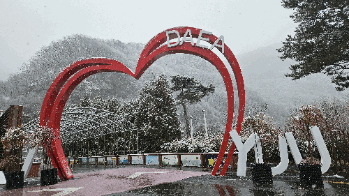 2026년 2월 대아수목원 겨울풍경