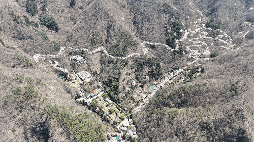 2026년 4월 대아수목원 봄풍경